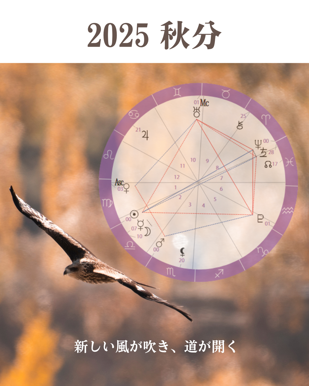 【星の時刻表】2025秋分～新しい風が吹き、道が開く